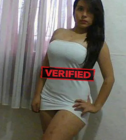 Vanessa sex Prostituta Valadares